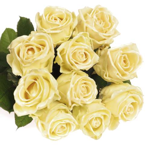 Rose creme Wachs (W9) 60cm