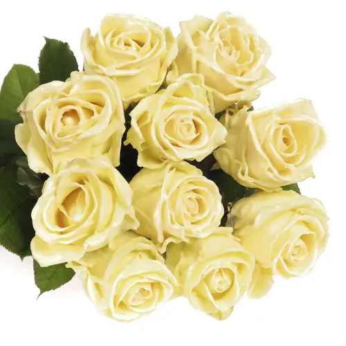 Rose creme Wachs (W9) 60cm