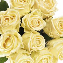 Rose creme Wachs (W9) 60cm