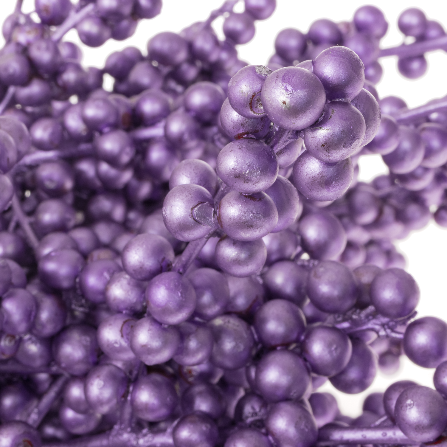 Ilex milka gefarbt 70cm