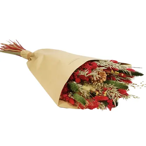 Trockenblumen Strauss Field dunkel rot L60cm