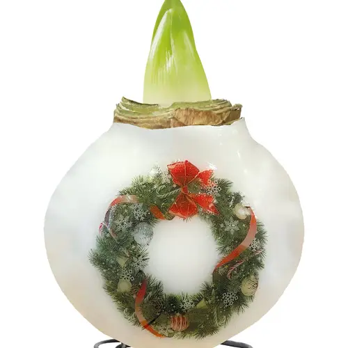 Amar.Bol Wachs Weihnachtskränze rote Bl. 30cm H022