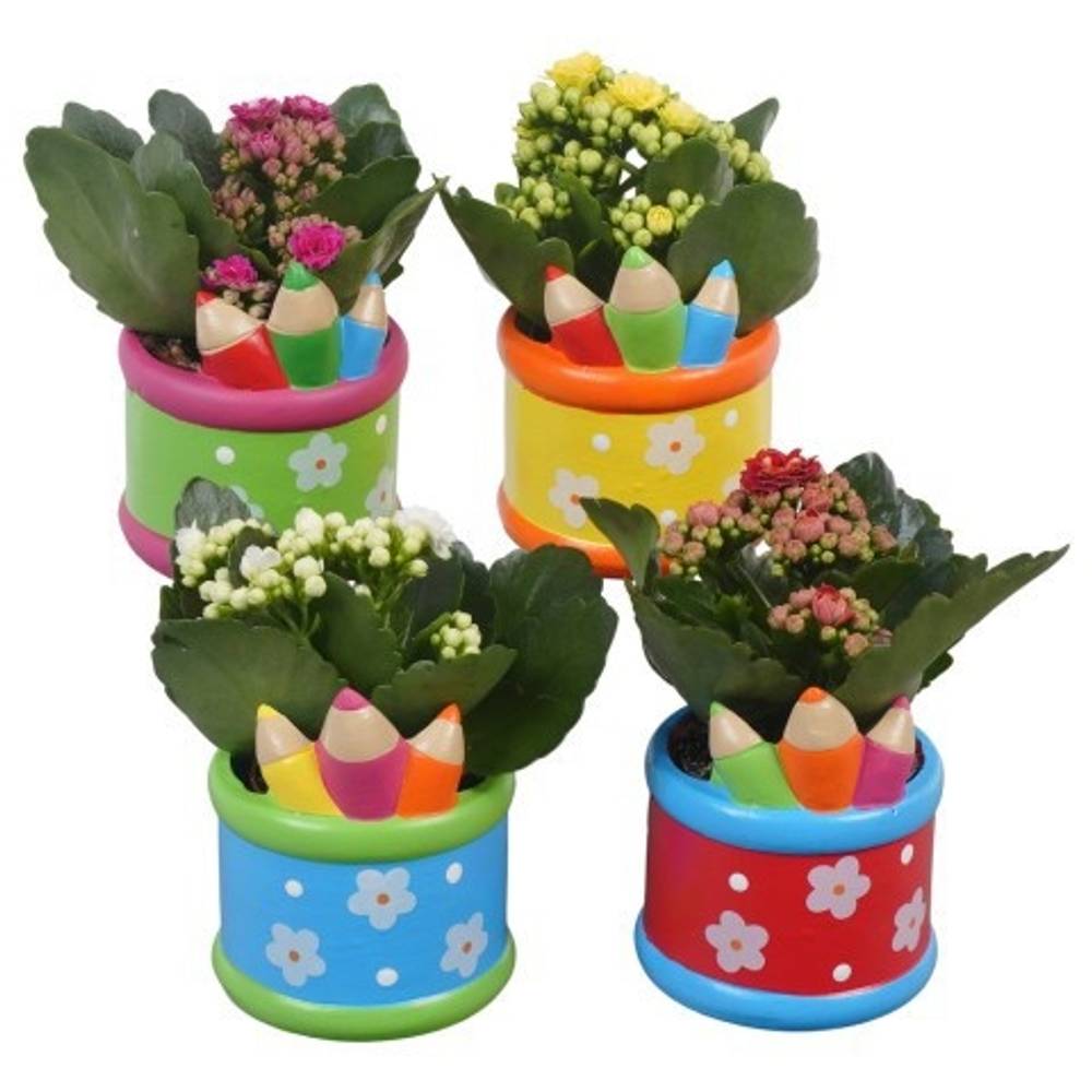 Kal.Arr mix PTBTS3207 School T08 H014