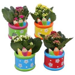 Kal.Arr mix PTBTS3207 School T08 H014