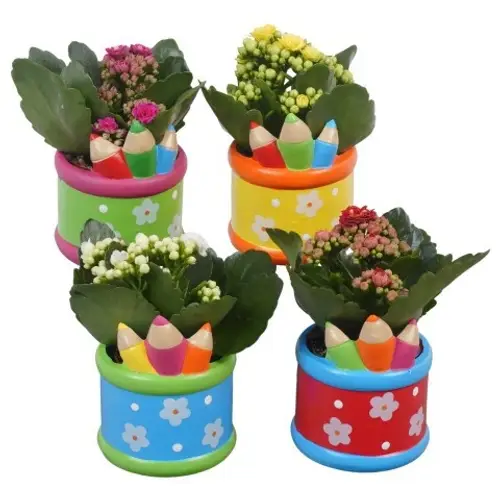 Kal.Arr mix PTBTS3207 School T08 H014
