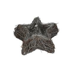 Mühlenbeckia Übertopf Stern weiss d23cm