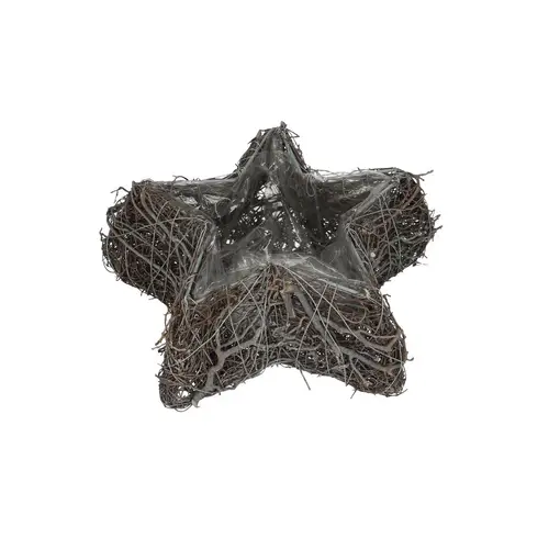 Mühlenbeckia Übertopf Stern weiss d23cm
