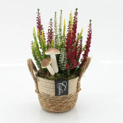 Garten.Arr-2520 Herbst T14 H030