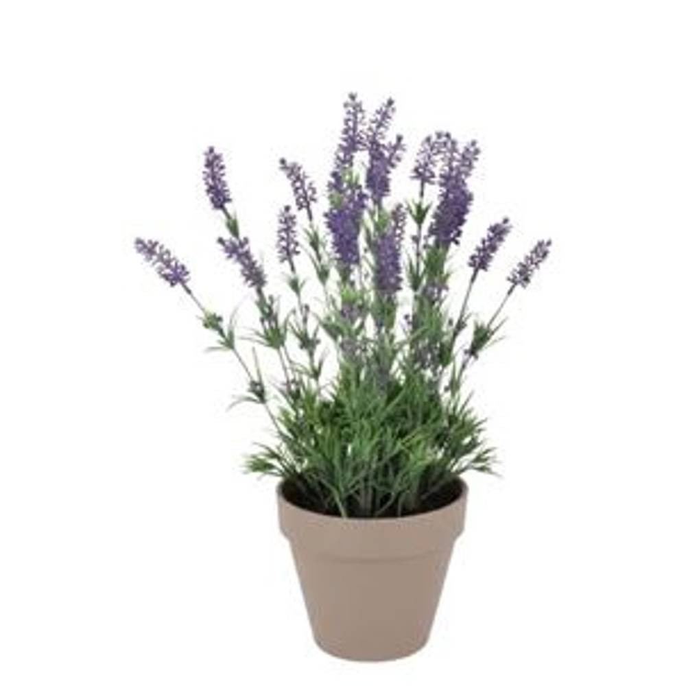 Seiden Lavendel lila im Übertopf D21cm H32cm