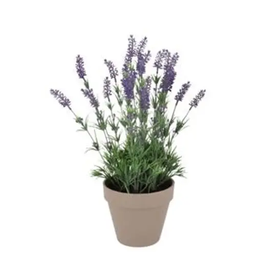 Seiden Lavendel lila im Übertopf D21cm H32cm
