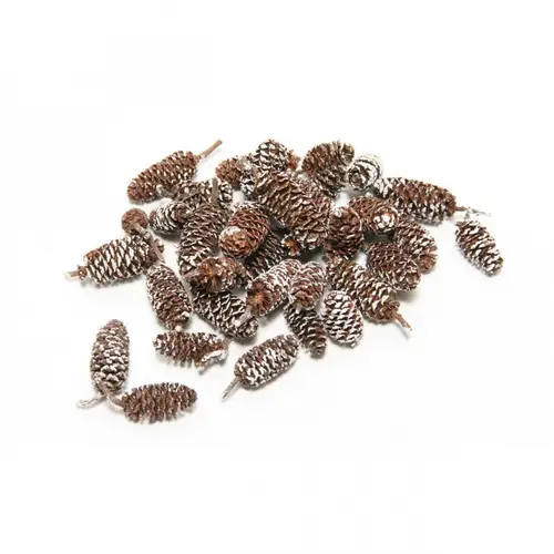 Trocken Zapfen Birch weiss 300gr