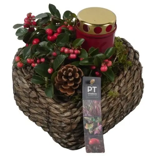 Garten.Arr PTAH8672 Allerheiligen T20 H017