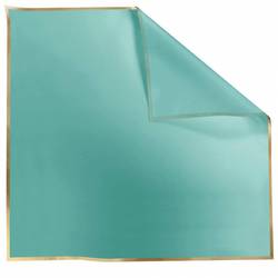 Folie Blatt Cachotier grün 70x70cm