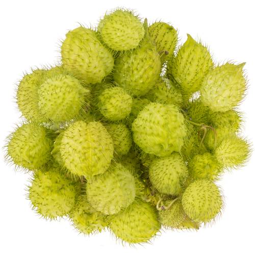 Greenball Moby Dick 70cm 4 Ball