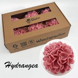 Seiden Wachs Hortensie alt rosa