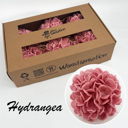 Seiden Wachs Hortensie alt rosa