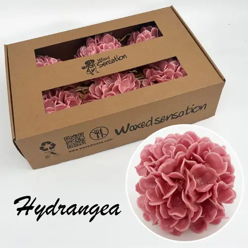 Seiden Wachs Hortensie alt rosa