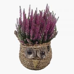 Garten.Arr PTHO7732 Herbst T19 H035