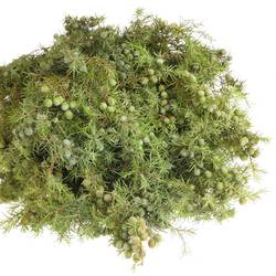 Jenever Birne Italien 400 Gramm 70cm