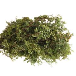 Jenever Birne Italien 400 Gramm 70cm