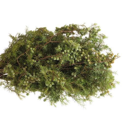 Jenever Birne Italien 400 Gramm 70cm