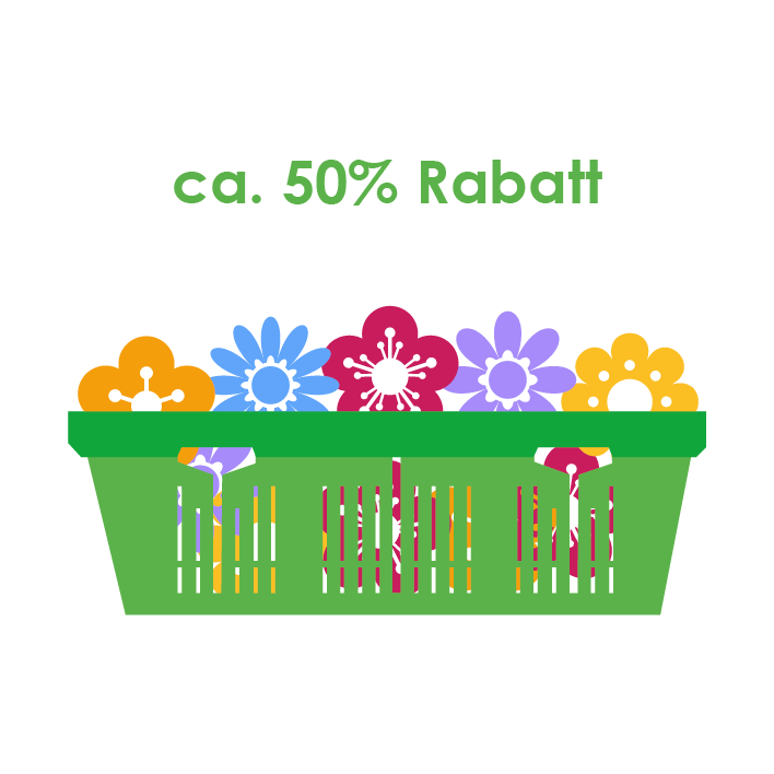 Weihnachten Mixware Groß