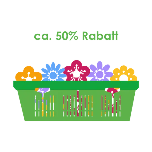 Weihnachten Mixware Groß