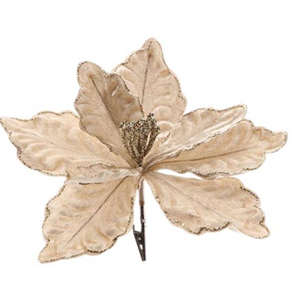 Klammer Poinsettia champagne D23cm H20cm