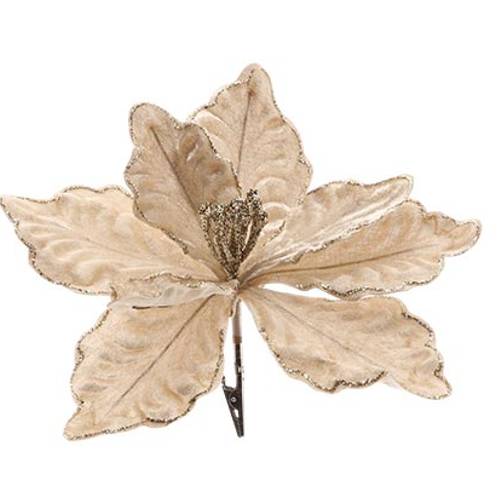 Klammer Poinsettia champagne D23cm H20cm