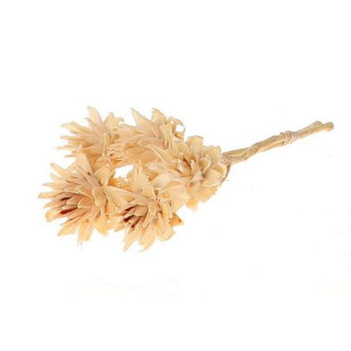 Trocken Plumosum weiss L45cm x5