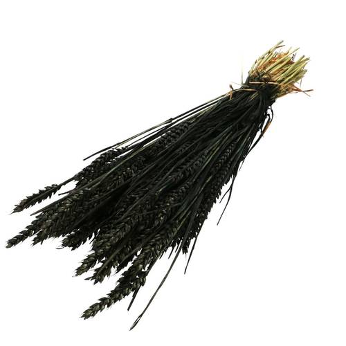 Trocken Weizen schwarz L70cm