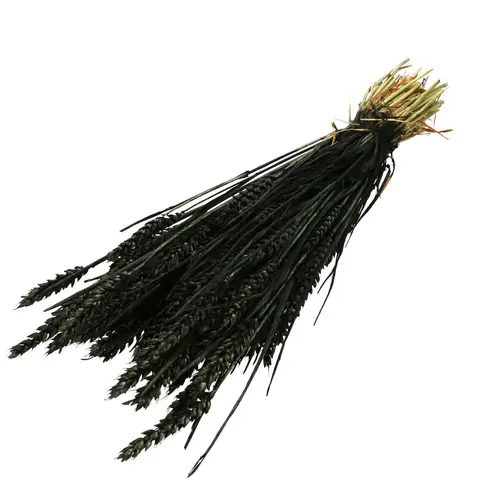 Trocken Weizen schwarz L70cm