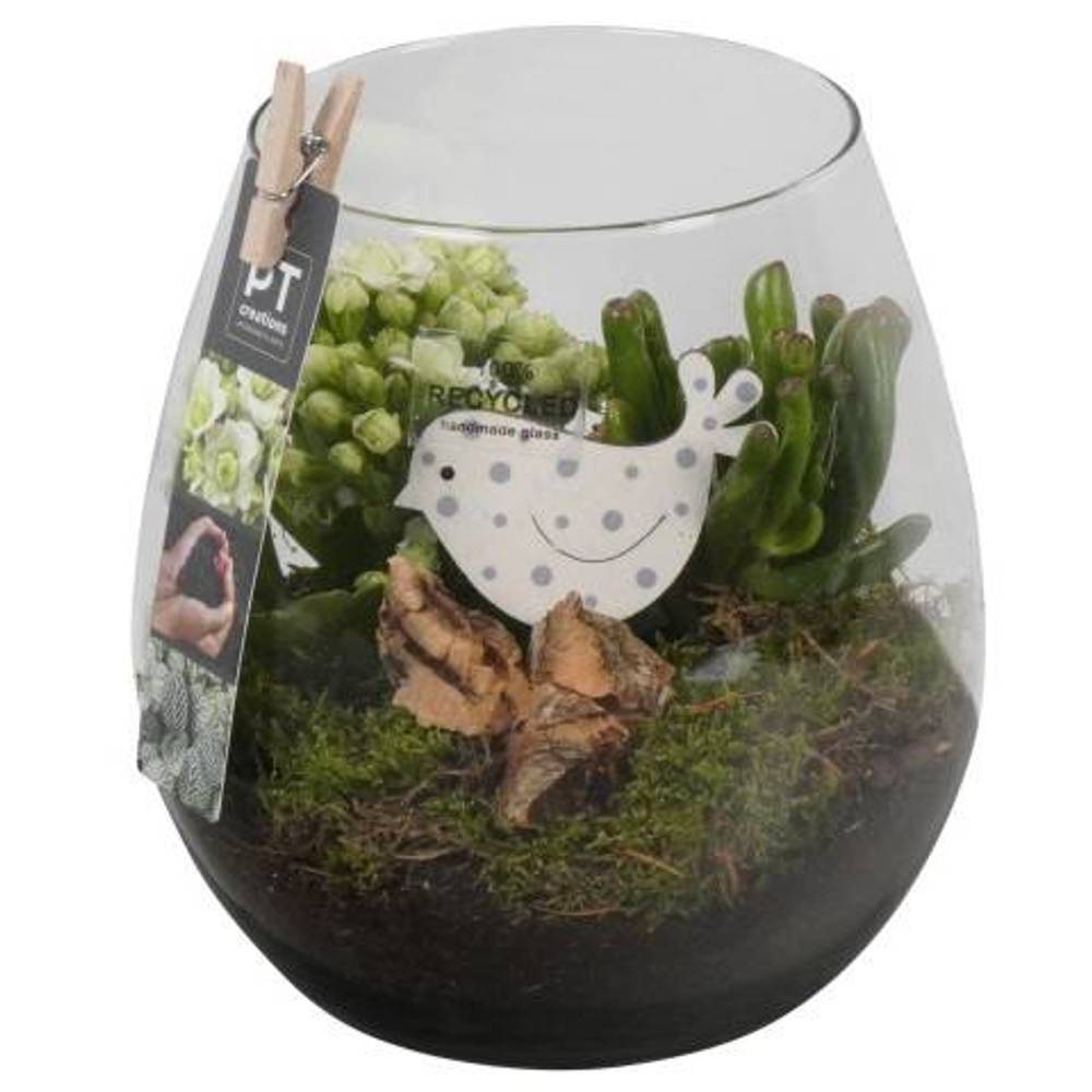 Frühling.Arr PTIG6846 T15 H020