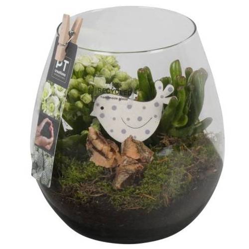 Frühling.Arr PTIG6846 T15 H020