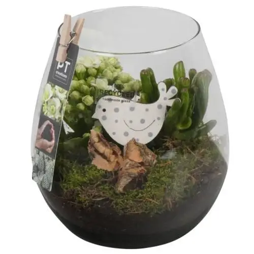 Frühling.Arr PTIG6846 T15 H020