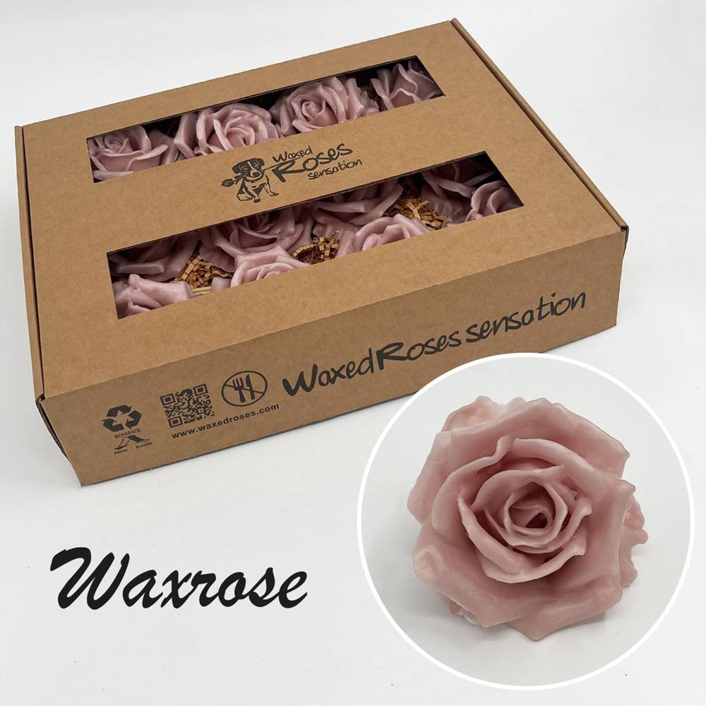 Seiden Wachs Rose beige