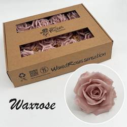 Seiden Wachs Rose beige