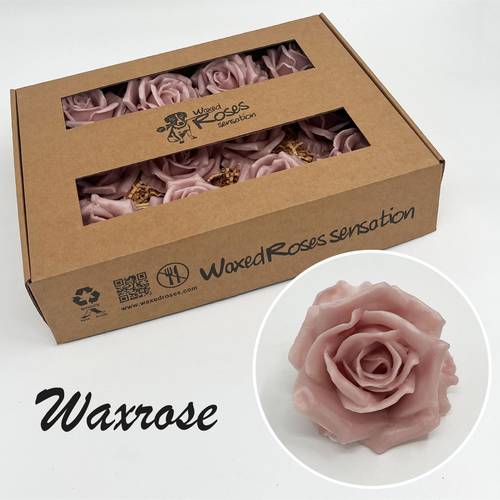 Seiden Wachs Rose beige