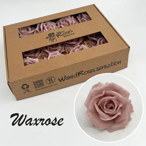 Seiden Wachs Rose beige