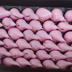 Birne rosa Wachs D4cm