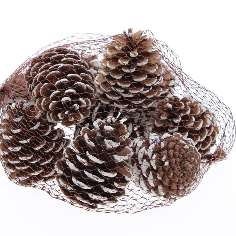 Trocken Tannenzapfen weissgespitzt 500gr