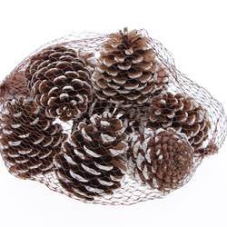 Trocken Tannenzapfen weissgespitzt 500gr