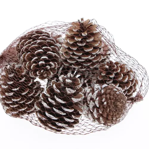 Trocken Tannenzapfen weissgespitzt 500gr