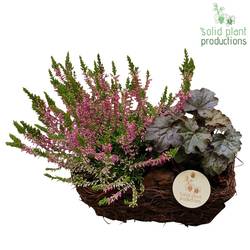 Garten.Arr SRS001 Small Herbst T24 H035