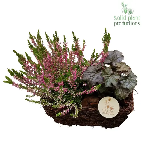 Garten.Arr SRS001 Small Herbst T24 H035