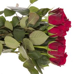 Rose rot Red Ribbon 40cm Valentinstag