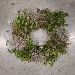 Kranz grün Buchs/Tillantia/Holz D30cm (B32)