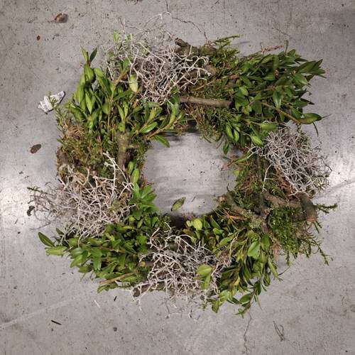 Kranz grün Buchs/Tillantia/Holz D30cm (B32)