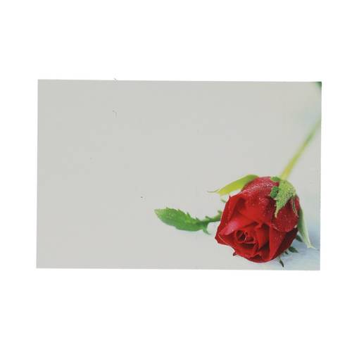 Karte Rose rot 09x06cm x50