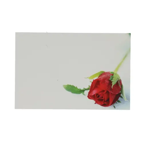 Karte Rose rot 09x06cm x50